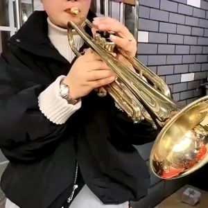 Minsine Trumpet Bb Flat Brass Gold-painted Exquisite Durable with Mouthpiece Gloves Strap Case