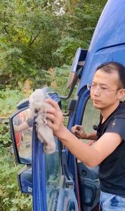 Cuộn 6 MÉT Gioăng Cao Su Chữ D Chống Ồn Ô Tô - Nẹp viền cửa xe cốp xe ô tô chống ồn chống bụi bẩn chống va đập cho xe hơi