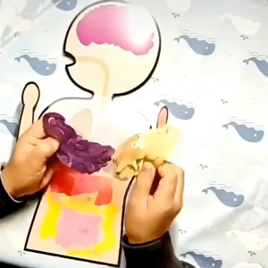 Puzzle Edukasi Anatomi Manusia / DIY Pencernaan Manusia Bahan Non-Woven / Edukasi And Produktivitas