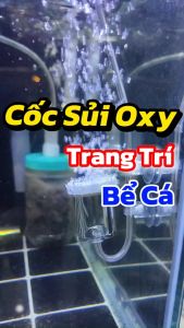 Cóc Sủi Oxy Siêu Mịn Cho Bể Cá Cảnh CHONG HENG XH01