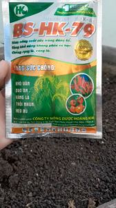 CHỐNG BỆNH NẤM HẠI CÂY - BS-HK-79 . COMBO 3 GÓI Phân Bón Hỗn Hợp Bs-Hk-79 Sản Phẩm Nông Dược Việt Nam - Lazada