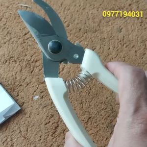 Kéo cắt cành cây Combo 2 cái