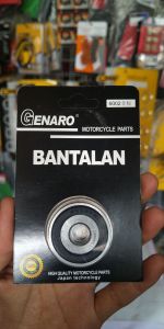 Bearing Bantalan Bering Laher CVT Pully 6002-10 Rs Bak Cvt Beat Scoopy Spacy Fi Esp Vario