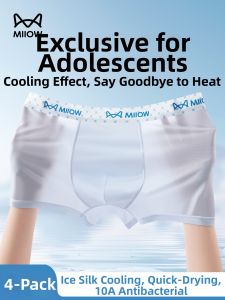 MiiOW | Cool Silk Briefs Summer Ultra-thin Seamless Quick-dry Boys Underwear