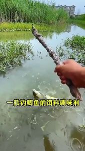100ml Ikan Menarik Cacing Merah Cairan Crucian Umpan Rumput Karper Perlengkapan Memancing Umpan Obat Aditif