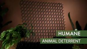MLADEN Animal Repel Mat Spike Anti Cat Thorn Mat Prevent Dog Digging Bird Repellent Pad Penghalau Kucing Halau Kucing