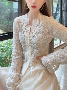 QINGNAER | French Elegant Large Size Lace Embroidery V-Neck Top