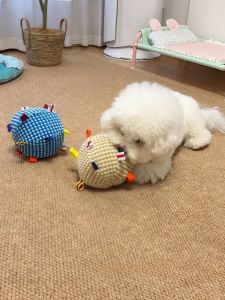 No-Brand Dog Toy Sound Ball Self-Amusing Boredom Buster for Pomeranian Pet Dog Teeth Grinding And Exercising Physical Activity