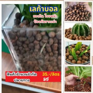 เลก้าบอล (Leca ball) ขนาด 8-16มม เม็ดดินเผโว เพื่อนกับเม็ดดินเผโว ที่เป็นเครื่องมือเสริมความสวยงาม หรือประสบการณ์ยุกติ เม็ดดินเผโว เม็ดดินเผพูด เครื่องมือผลิตหน้า หน้าดิน
