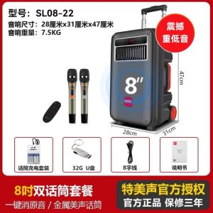 Temeisheng SL10-22 High Power Portable Outdoor Bluetooth Speaker with Microphone for Square Dancing And Karaoke