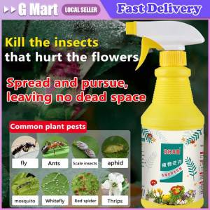 ⭐【LazTop Seller】🦟3 seconds to kill🦟flies repellent spray Fly Killer Spray insect killer 500g mosquitero killer mosquito repellant fly trap mosquito trap cockroach eliminator flies repellent termites killer solution 306A-ZJJ-Plant-Insecticide