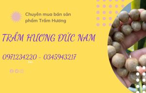 [FREESHIP] Nụ Trầm Hương Hình Búp Dành Cho Thác Khói Thơm mùi Trầm Hương Trầm Hương Đức Nam Trầm hương tự nhiên