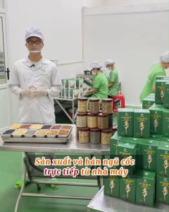 Ngũ Cốc Dinh Dưỡng Cho Người Lớn Tuổi LoliFood Bột Ngũ Cốc Không Đường cho người bị Tiểu Đường Hộp 500gr