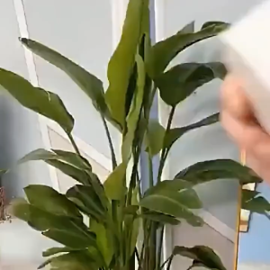 Kipas Angin Listrik Lipat Portable USB Travelling / Kipas Angin Listrik Duduk Lantai / Kipas Angin Listrik Berdiri / Kipas Angin Rumah Advance Panasonic