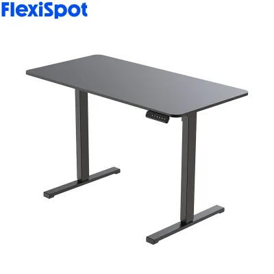 FlexiSpot FQ2 Electric Height Adjustable Standing Desk with 1200x600mm Tabletop