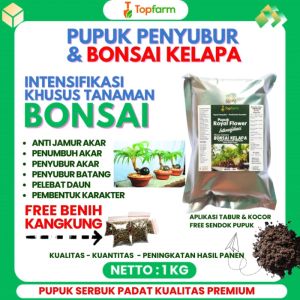 Pupuk Khusus Bonsai Kelapa / Pupuk Khusus Bonsai / Pupuk Bonsai Terbaik  / Pupuk Untuk Bonsai Kelapa / Pupuk Obat Akar Bonsai Kelapa Mini