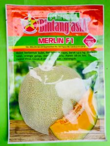Benih Melon MERLIN F1 isi 20gr dari Bintang Asia