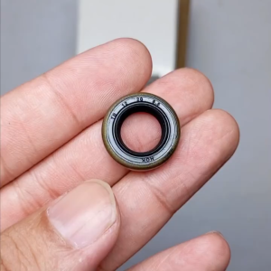 Seal TB 12 20 5.5 Nok Seal Water Pump Nsr Corrola INB Original Nok