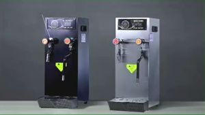 Hot Water Dispenser And Steamer