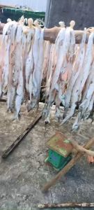 Khô Cá Hố Không Xẻ Nguyên Con Vị Tự Nhiên Không Mặn- ĐẶC SẢN MINH TRIẾT