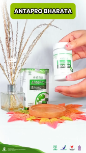 Obat Stroke Ringan Berat Memperlancar Peredaran Darah Antapro Bharata Obat Stroke Herbal Resmi BPOM