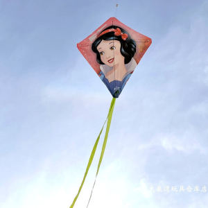 Outdoor Leisure Cartoon Kite Easy to Fly for Boys And Girls Snow White Elsa Etc Simple Packaging Snow White And Elsa Kites