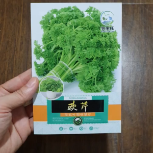 Hạt Giống Ngò Tây  hạt giống Rau Mùi Tây nhập khẩu nội địa Trung - Hoang My food and beauty