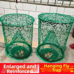 Insect Trap for Outdoor Use
