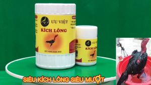 Kích Lông Gà Đá 1 LỌ ƯU VIỆT. Kích Mọc Lông Gà Ra Lông Nhanh Hơn Cứng Đều hơn. Hũ Kích Lông 200 Viên Sản Phẩm Từ Việt Nam - Lazada