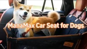 Pet Car Seat Cover Dog Bed Back Row Dirty Proof Large Medium Dogs Carriage Special Tool for Dogs Traveling in Cars Universal