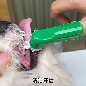 Pets Cat Dog Puppy 4 in 1 Toothpaste Toothbrush Dental Care Set Prevent Bad Breath Berus Gigi Kucing Dental Care