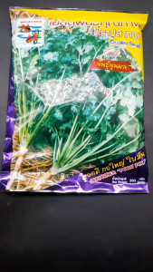 ผักชี ปลาทอง พันธุ์พูนผล 300 กรัม  หมดอายุ11/2569 ลอตใหม่ งอกดี ต้นอวบ ก้านใหญ่ ใบใหญ่ ออกดอกช้า รากแขนงยาว ใหญ่ ทนฟ้าฝน ตลาดนิยม