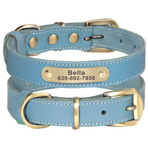 JINLINGJIE | Engraved Genuine Leather Collar Small Dogs