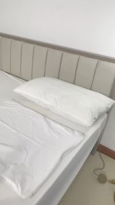 Waterproof Pillow Protector Set of 2 Hotel Bed Pillow Cover Machine Washable Zipper Pillowcase (Cotton Terry)