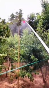 Stok sedia 4.3M Semprotan Taman/Bar Semprotan/Semprotan Tekanan Manual/Bar Semprotan Dilanjutkan/Batang Pam Racun