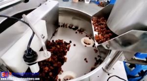 Raisin Sachet Packaging Machine