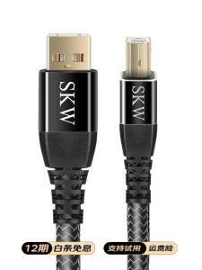 High-End SKW Single Crystal Copper Silver Plated USB Decoder DacA-B Computer Sound Card Mixer Data Cable Audio Video Accessories