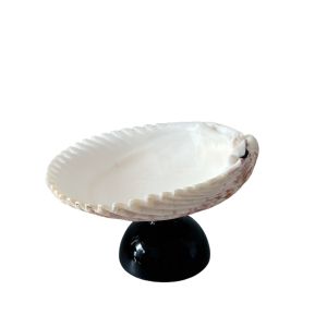 Creative Vintage Natural Bird Tail Shell Jewelry Tray Dessert Plate Fruit Plate Multifunctional Dishware French Style Glass Plate