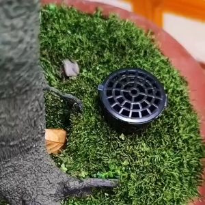 20 Pcs Plants Fertilizer Basket for Flower Pot Osmocote Bonsai