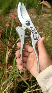 กรรไกรตัดกิ่ง SK5 คมกริบ ทนทาน ไม่เป็นสนิม กรรไกรเล็มกิ่ง ใช้ง่าย ตัดตรงไม่บาดเนื้อไม้