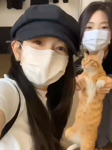 [ถุงส่วนบุคคล] BT บรรจุภัณฑ์อิสระ Morandi รูปร่างหน้ากากใบหน้าดูดีแนวโน้มทิ้งผู้ชายผู้หญิงป้องกันดวงตามุมผู้ใหญ่ไม่ทิ้งใบหน้าความงาม 口罩