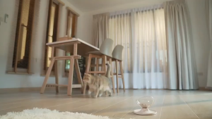 [ส่งฟรี+แถมฟรี1กป] ChooChoo ชูชู อาหารเสริมบำรุงแมว ชุดคอมโบสูตรปลา สมูทตี้ปลาคัตสึโอะ6กระป๋อง+ซุปปลา6กระป๋อง