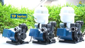 WALRUS PUMP ปั๊มหอยโข่ง รุ่น TP325PB แบบเทอร์โบ ท่อ1นิ้ว กำลัง370w เพิ่มแรงดันน้ำในบ้าน