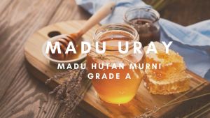 Madu Uray Stick Original Jahe 120 gram Uray Natural Honey Madu Asli Murni Alami Kemasan Botol Madu Halal BPOM