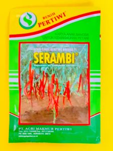 Benih Cabe Cabai Keriting SERAMBI Pertiwi isi 10 gr joss!!!