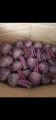 beet root fresh / buah bit merah segar 1 kilo. 