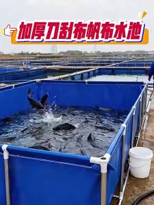 SHUNRUN | Fishing Pond and Orchard Water Storage Pool Liner