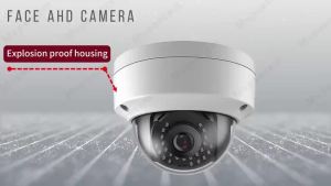 8MP CCTV Security Analog Dome Camera Outdoor Explosion-Proof Face Detection AHD DVR Video Surveillance Camera BNC 4K XMEYE 5MP