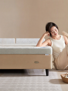 Memory Foam Mattress Pad for Students Dormitories Tatami Home Use 10cm