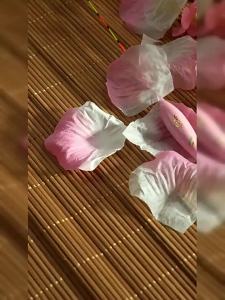CHUANZE | Mồi Đèn Dây Câu Độ Nhạy Cao 0.65mm